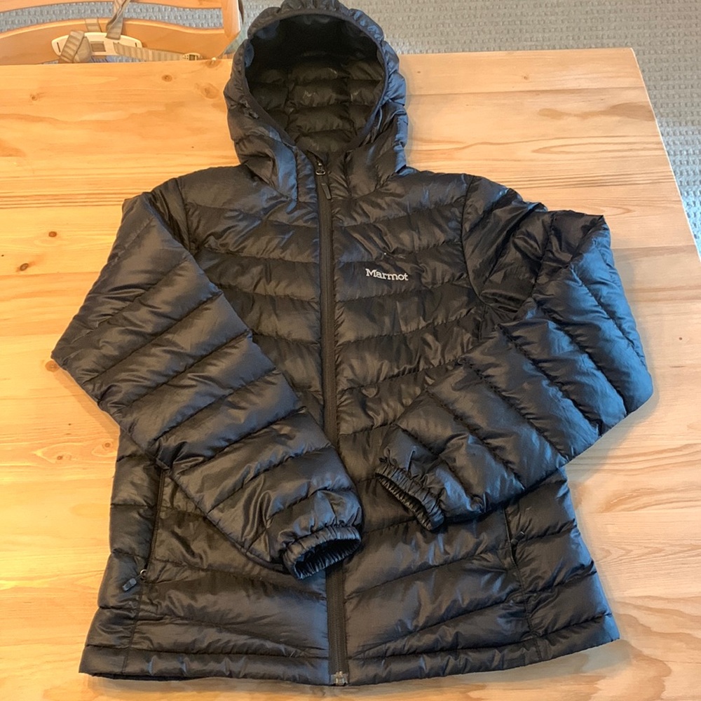 Marmot puffer
